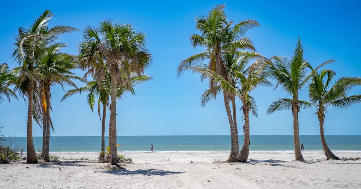 Hurricane Cleanup for Naples Businesses: A Facility Manager's Playbook
